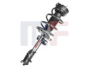 Suspension strut complete 05-10 Ford Mustang left or right